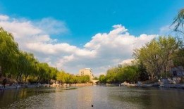 甲子湖最新爆料,揭秘湖中惊现神秘生物之谜